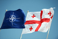 georgia-nato-flags