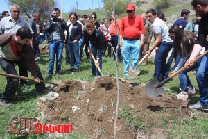 ԾԱՌԱՏՈՒՆԿ ԲԵՐՁՈՐՈՒՄ