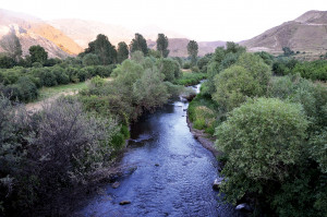 ԻՇԽԱՆԱՍԱՐԻ ԹԱԳՆ ՈՒ ՈՐՈՏԱՆԻ ՀԱՌԱՉԸ